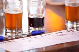 Denver LoDo Craft Beer Tour, a guided tour of microbreweries