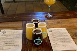 craft beer tasting on Albuquerque Beer Tour